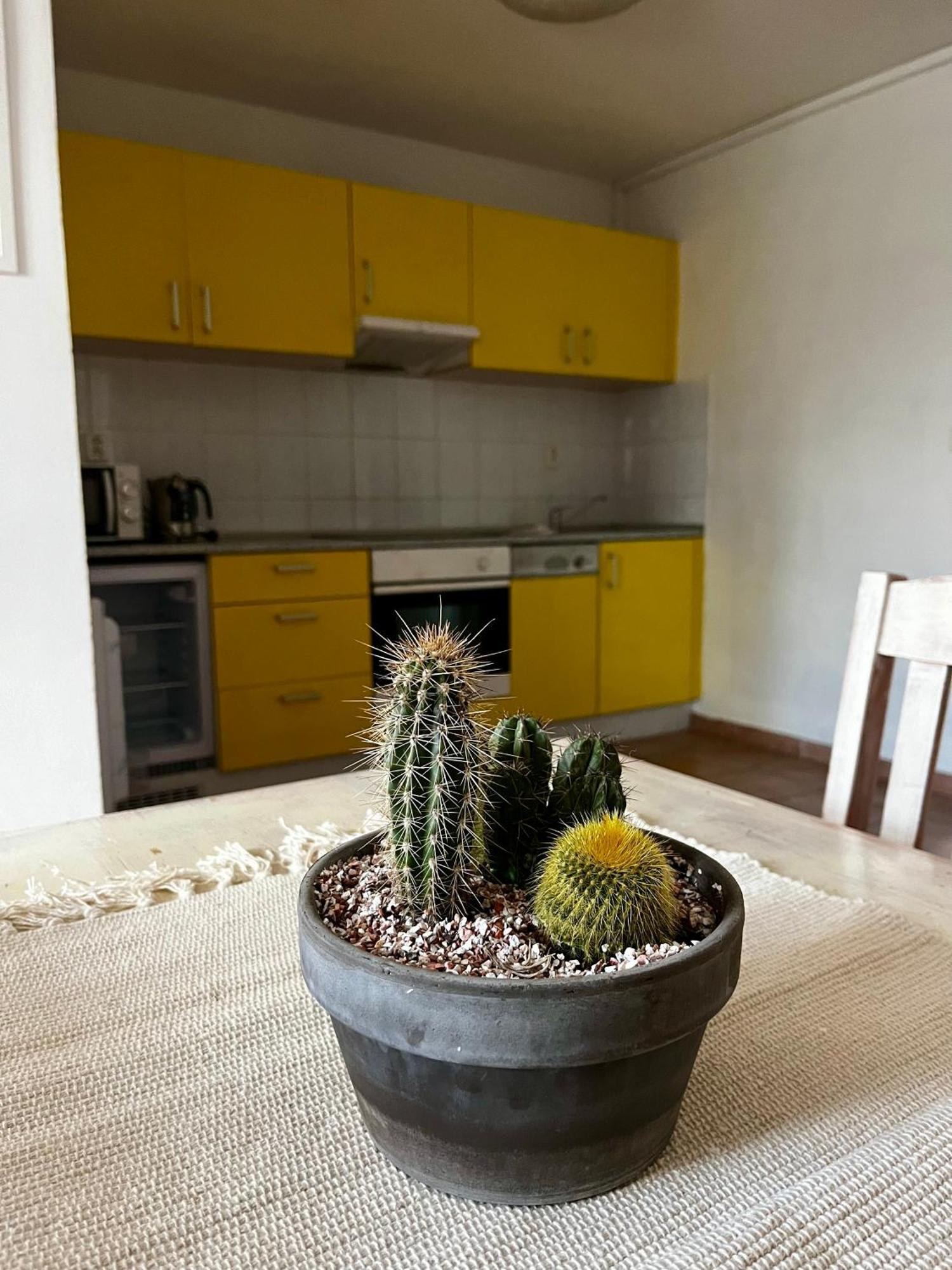 Apartmán Mohelensky Dvur Mohelno Exteriér fotografie